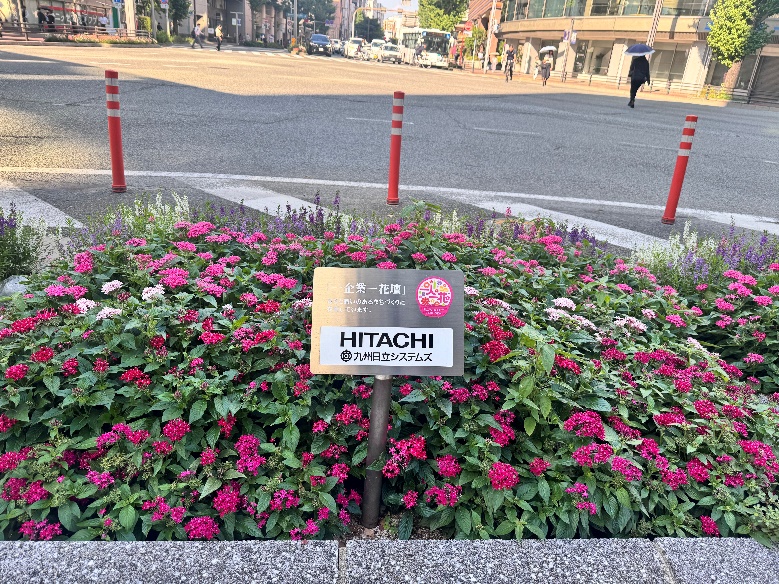 一人一花運動（2025年3月）01