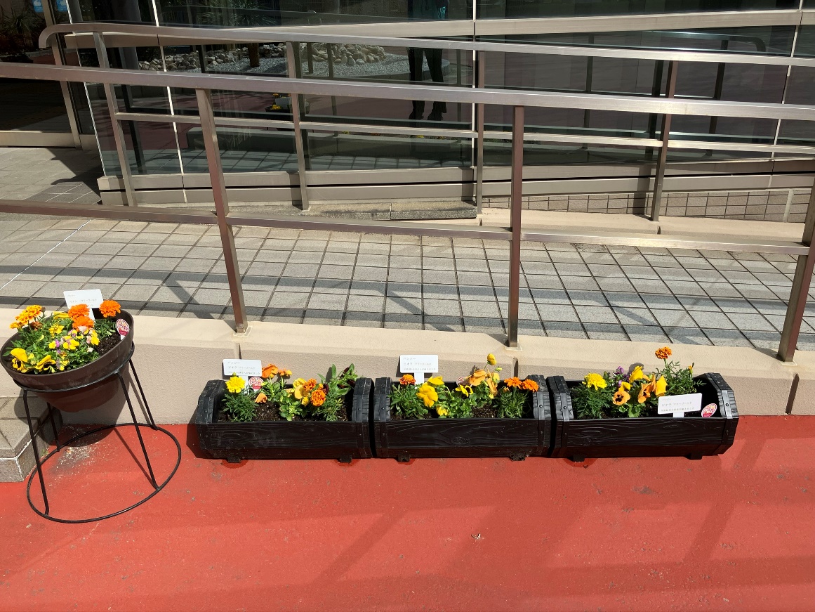 一人一花運動（2025年3月）02